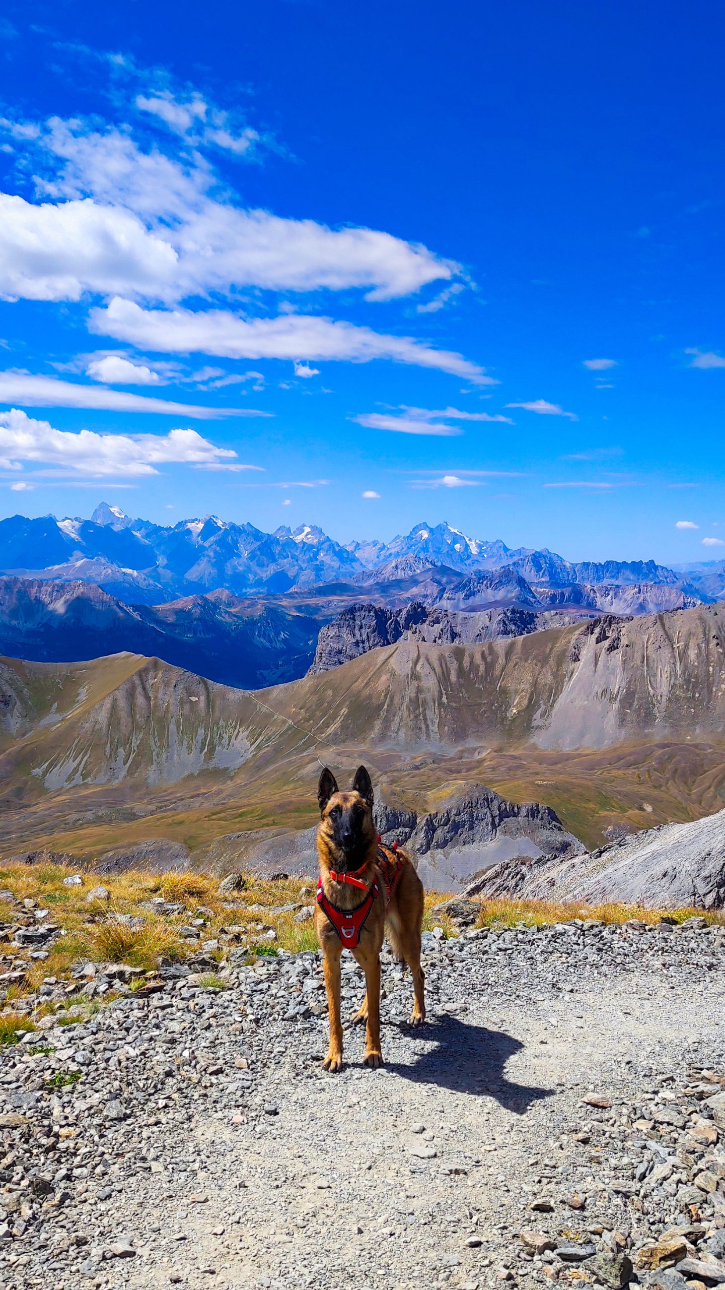 Lire la suite à propos de l’article Mont Chaberton : un 3000m accessible et mythique