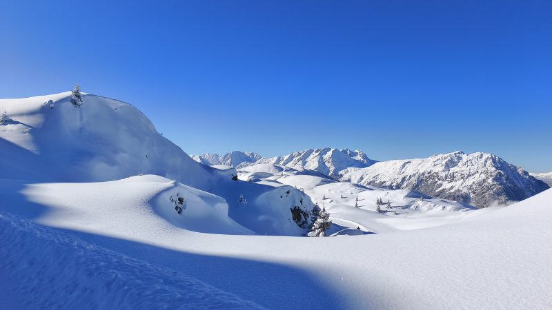 Traversée des lacs de l’Alpe d’Huez avec son chien en hiver
