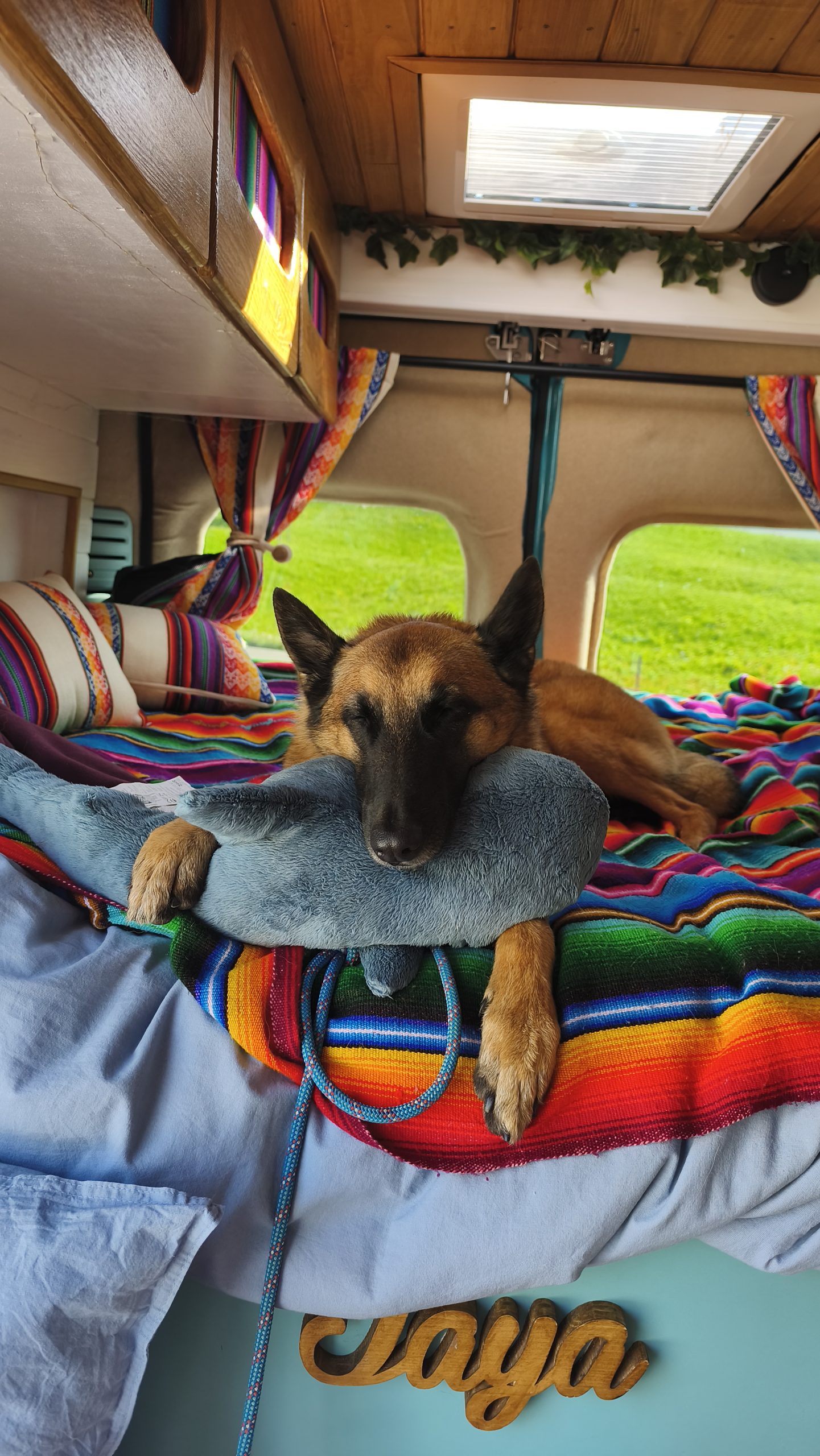 Lire la suite à propos de l’article Comment j’ai aménagé mon van pour voyager avec mon chien