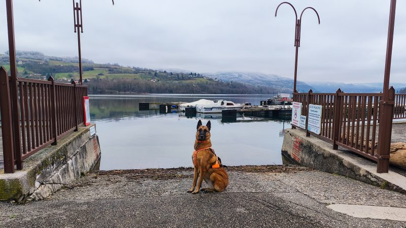 Tour du Lac de Paladru et Croix des Cochettes avec son chien