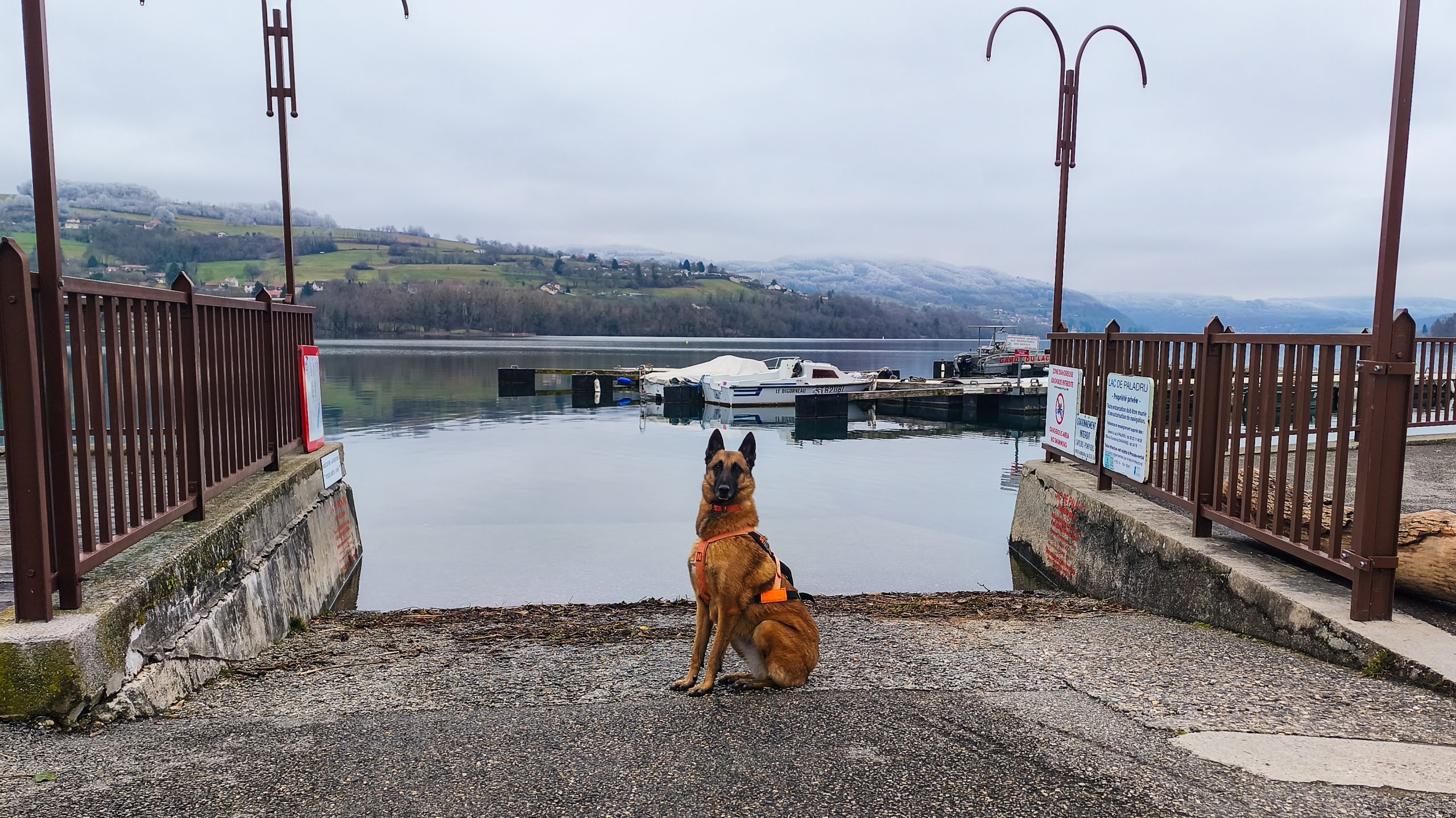 Lire la suite à propos de l’article Tour du Lac de Paladru et Croix des Cochettes avec son chien