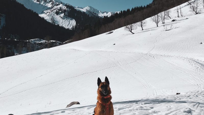 Le Sommier d’Aval depuis Le Reposoir en raquettes