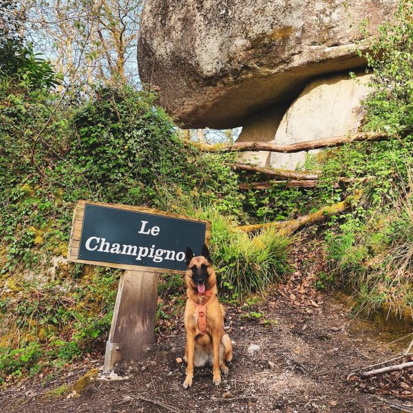 Randonnée dans la forêt de Huelgoat : une boucle féerique au cœur des légendes bretonnes